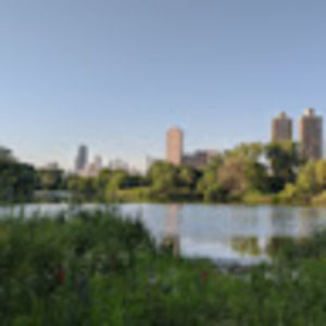 Meet your Posher, Janine